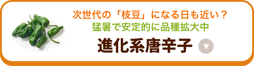 進化系唐辛子