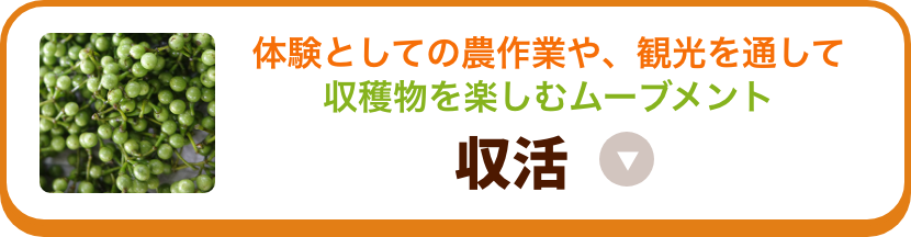 収活