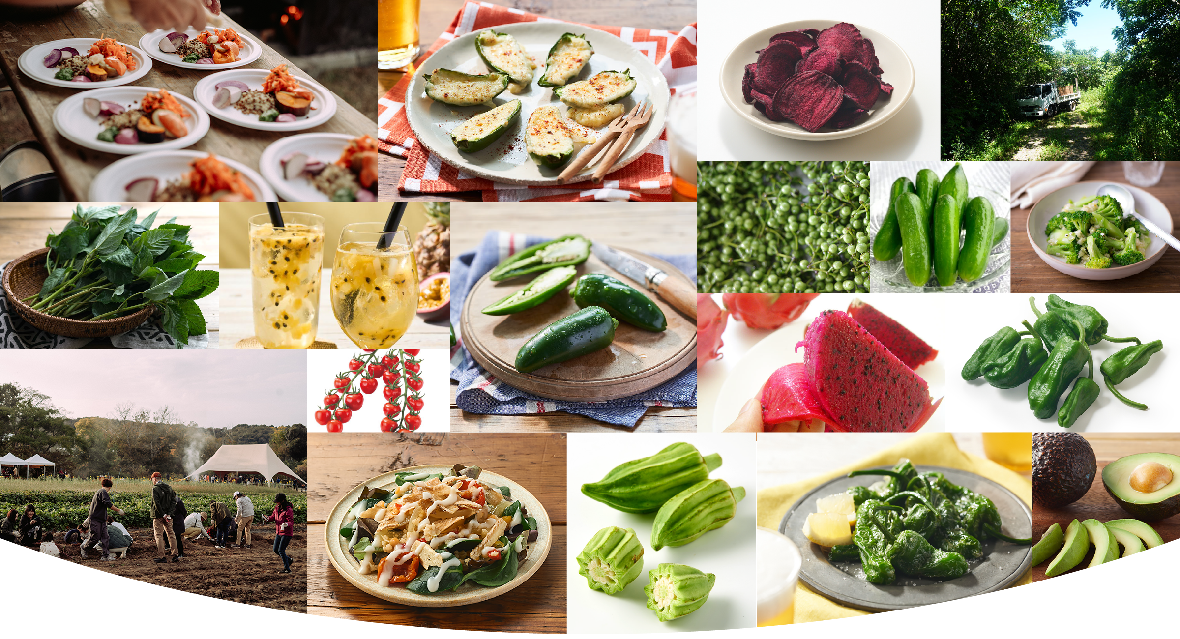 Vegiful Next Trend 2027 Food Collage